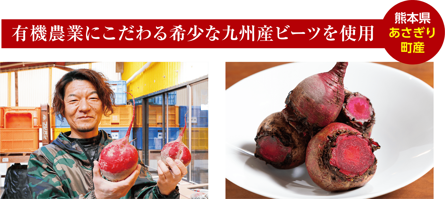 有機農業にこだわる希少な九州産ビーツを使用 熊本県あさぎり町産
