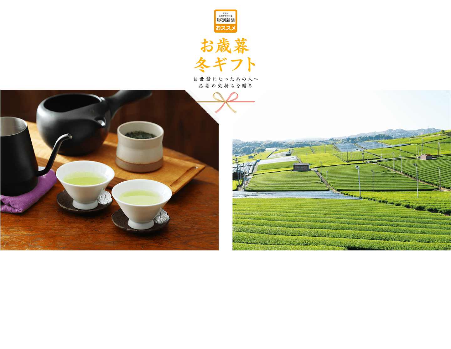 創業100年の牛島製茶八女茶セット 脳活新聞と福岡県八女市の牛島製茶がタイアップして八女茶ギフトセットをご用意しました。大正十年創業の牛島製茶のお茶を詰め合わせたギフトセットです。感謝の気持ちをギフトに込めて贈ってみませんか。
