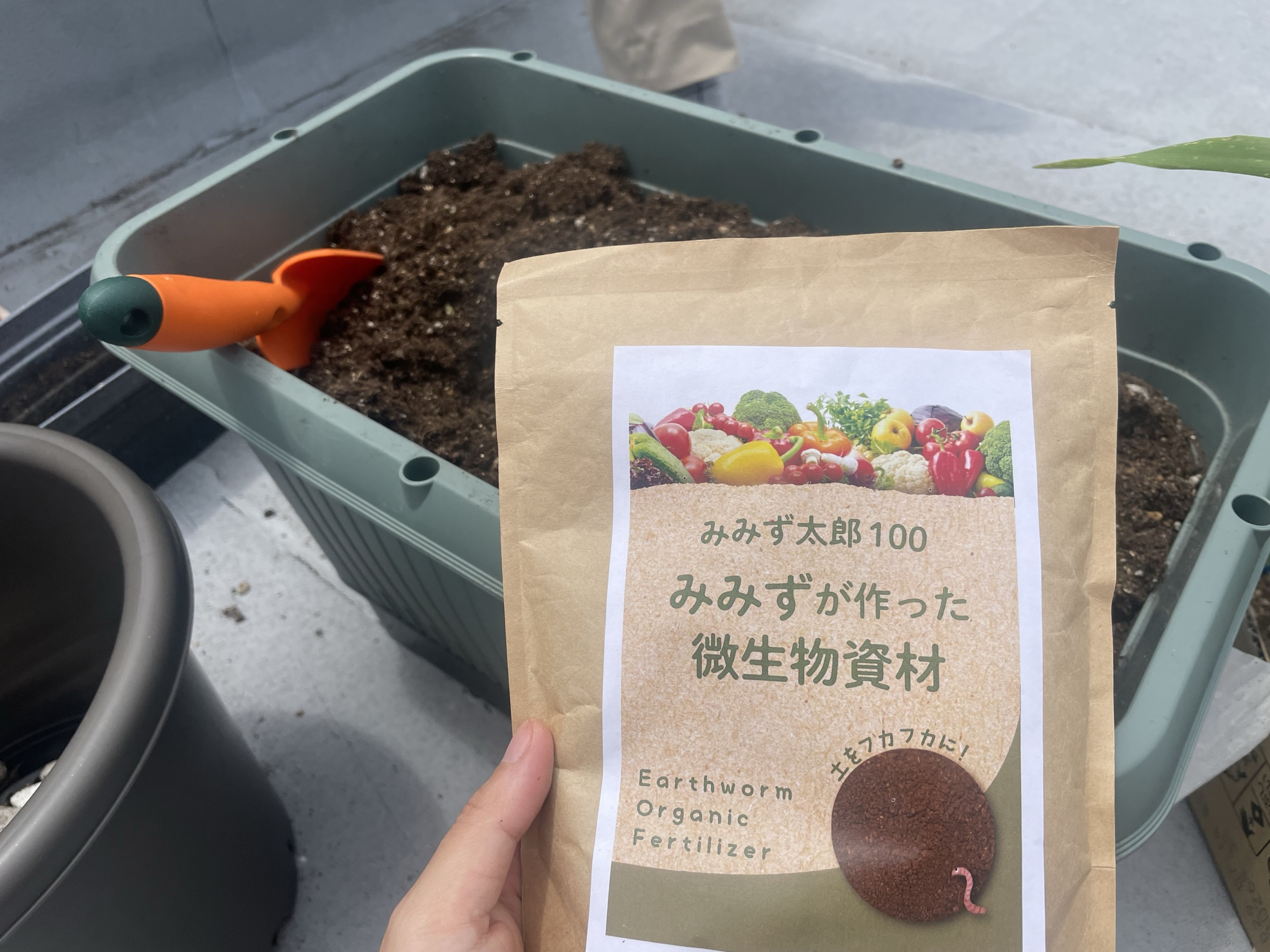 菜園日記】vol.23 黄金の土で苗植え付け！ | 脳活新聞