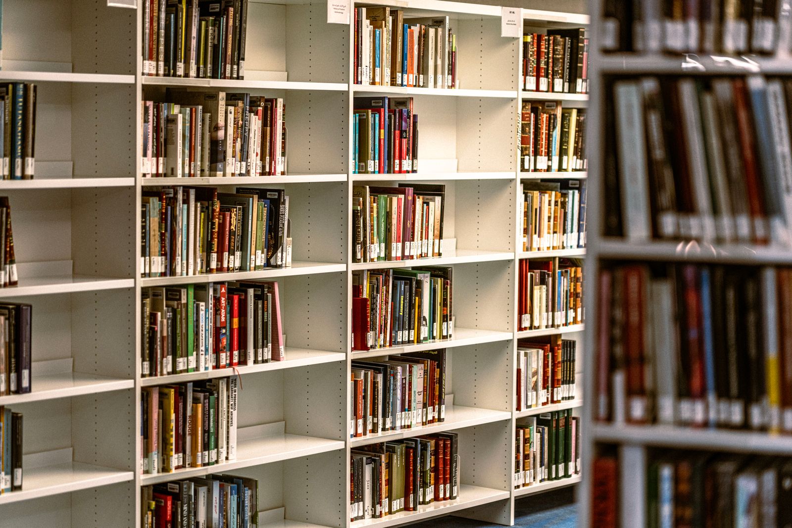 図書館の白い書棚に並ぶたくさんの本